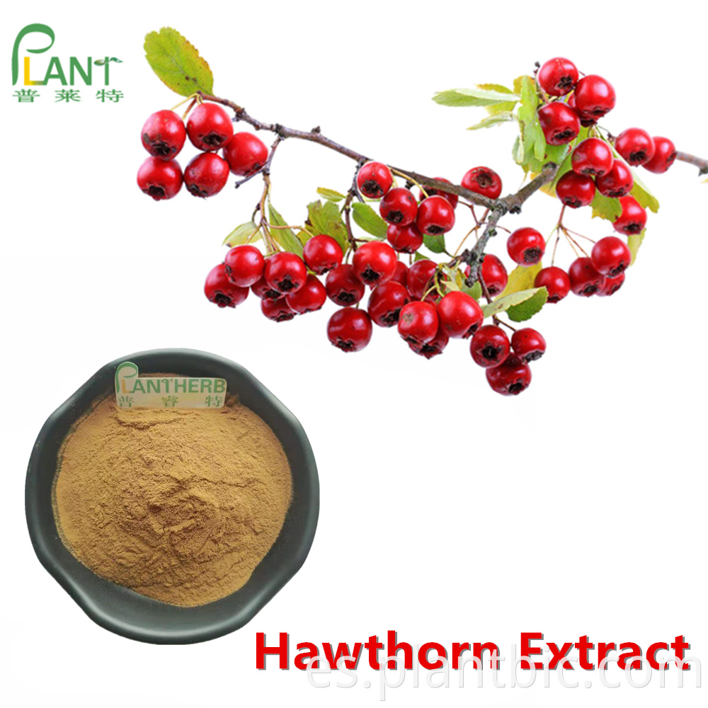 Hawthorn Berry Extract